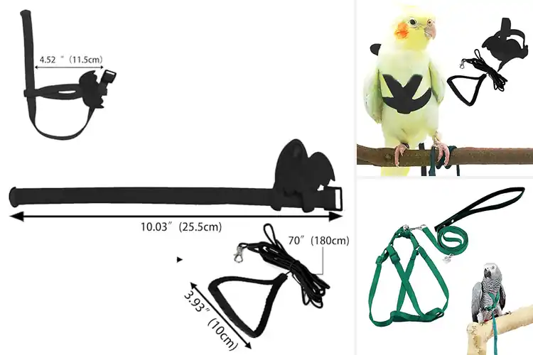Detailed view of Best Adjustable Bird Leashes for Safe Outdoor Fun