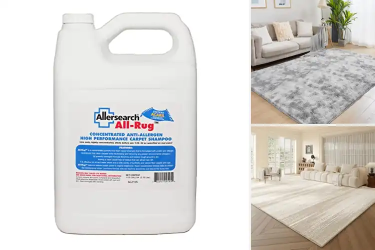 Detailed view of Best Anti-Allergy Rugs for a Fresher, Comfier Home
