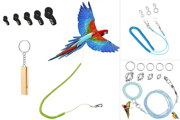 Detailed view of Best Bird Flying Ropes: Top Picks for Safe Outdoor Fun