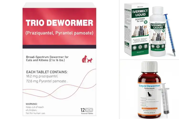 Detailed view of Best Broad Spectrum Dewormers: Top Picks for Pet Wellness