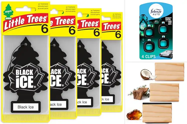 Detailed view of Best Car Air Fresheners: Top 10 Picks for a Fresh Ride