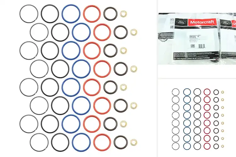 Detailed view of Best Diesel Fuel Injector O-Rings