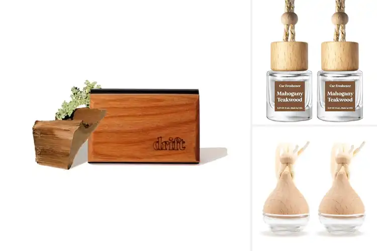 Detailed view of Best Eco Friendly Car Fresheners