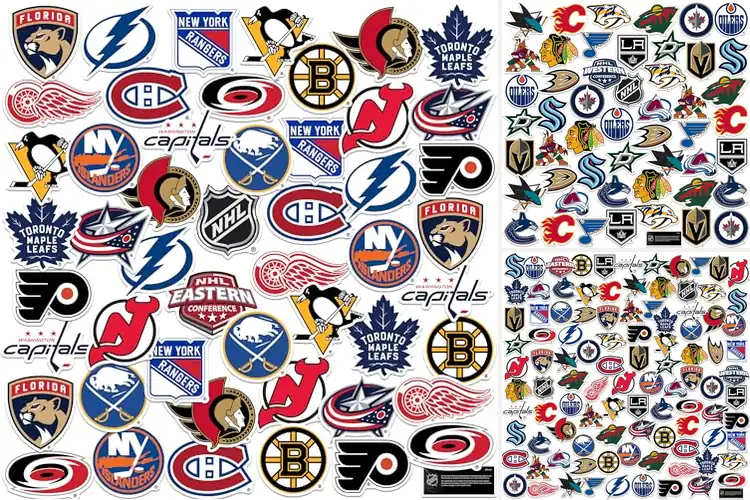 Detailed view of Best Hockey Logos: Stunning Designs Fans Love