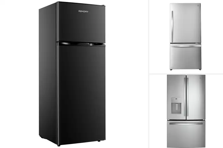 Detailed view of Best Large Capacity Refrigerators
