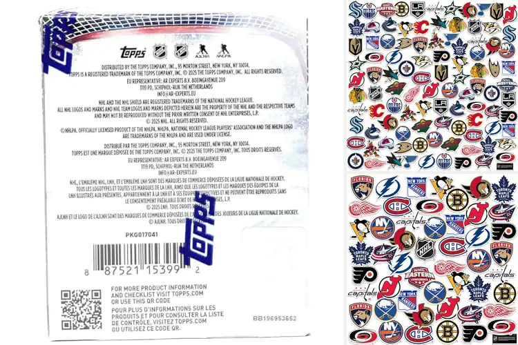 Detailed view of Best NHL Sticker Packs for True Fans