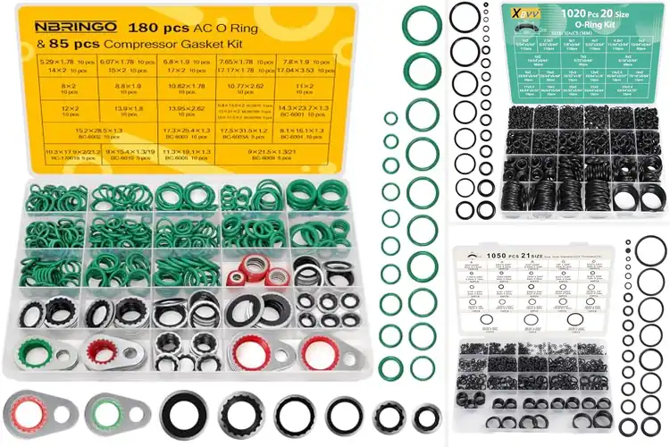 Detailed view of Best O-Ring Seal Kits for Fast, Reliable Repairs